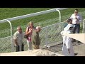 RM 39 Al Rayyan Race 6 - Msheireb Cup