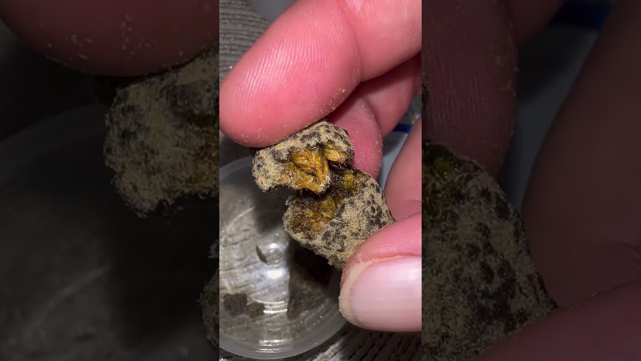 Kaws moon rocks white gelato