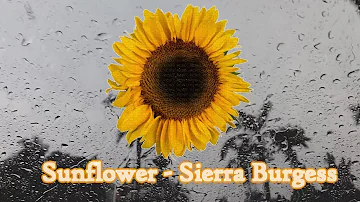 Sunflower - Sierra Burgess ( Shannon Purser)  | Thanniza Cover
