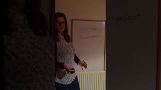 Lesson plan on PAST SIMPLE (Capstone Project 1) TESOL