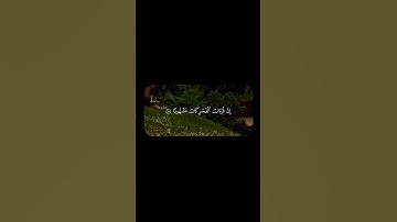 علي جابر – سورة الإسراء 78-79 | #علي_جابر #سورة_الإسراء #تلاوة_قرآن #قرآن_كريم #تلاوة_خاشعة