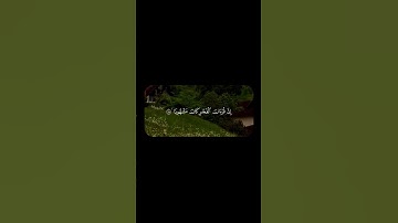 علي جابر – سورة الإسراء 78-79 | #علي_جابر #سورة_الإسراء #تلاوة_قرآن #قرآن_كريم #تلاوة_خاشعة