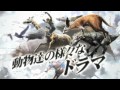 Tokyo Jungle sieht trotz der grausamen Kostüme gut aus und bietet Panda-Sex