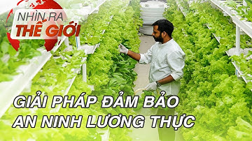 Nông trại Thông minh - Giải pháp đảm bảo An ninh Lương Thực | Nhìn ra Thế giới
