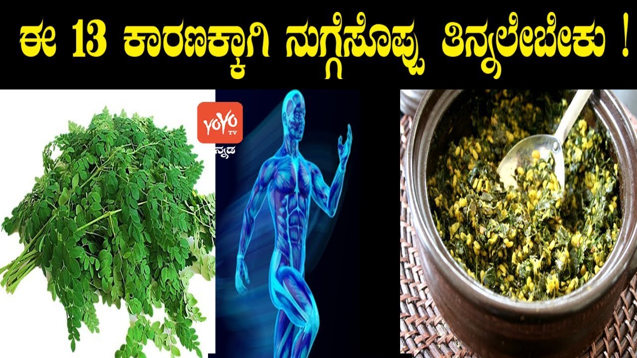ಈ 13 ಕಾರಣಕ್ಕಾಗಿ ನುಗ್ಗೆಸೊಪ್ಪು ತಿನ್ನಲೇಬೇಕು ! Drumstick Leaves Uses In