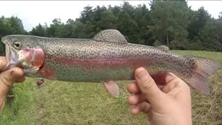 Bait Fishing #10 - Leech and Powerbait Fishing for Stocked Trout, Smallmouth Bass, and Panfish