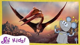 quetzalcoatlus the biggest animal who ever flew the science of flight scishow kids