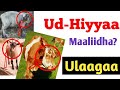 Ud Hiyyaa Iida Arafaa Ulaagaalee Fi Akkaataa Isaa 