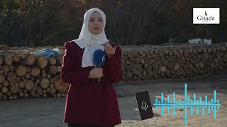 Spo Din Njeri A Është Tu Ble Dru A Dukat Çmimi I Druve Deri Në 70 Euro Rti