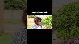 Pemphero La Abusa A Nangondo viral trending