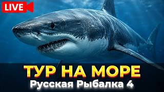 ЕДУ НА МОРЕ В ТУР | РР4 - Русская Рыбалка 4
