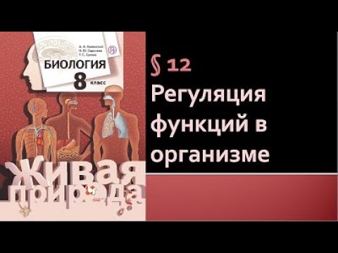 Биология 8 класс. Регуляция функций в организме
