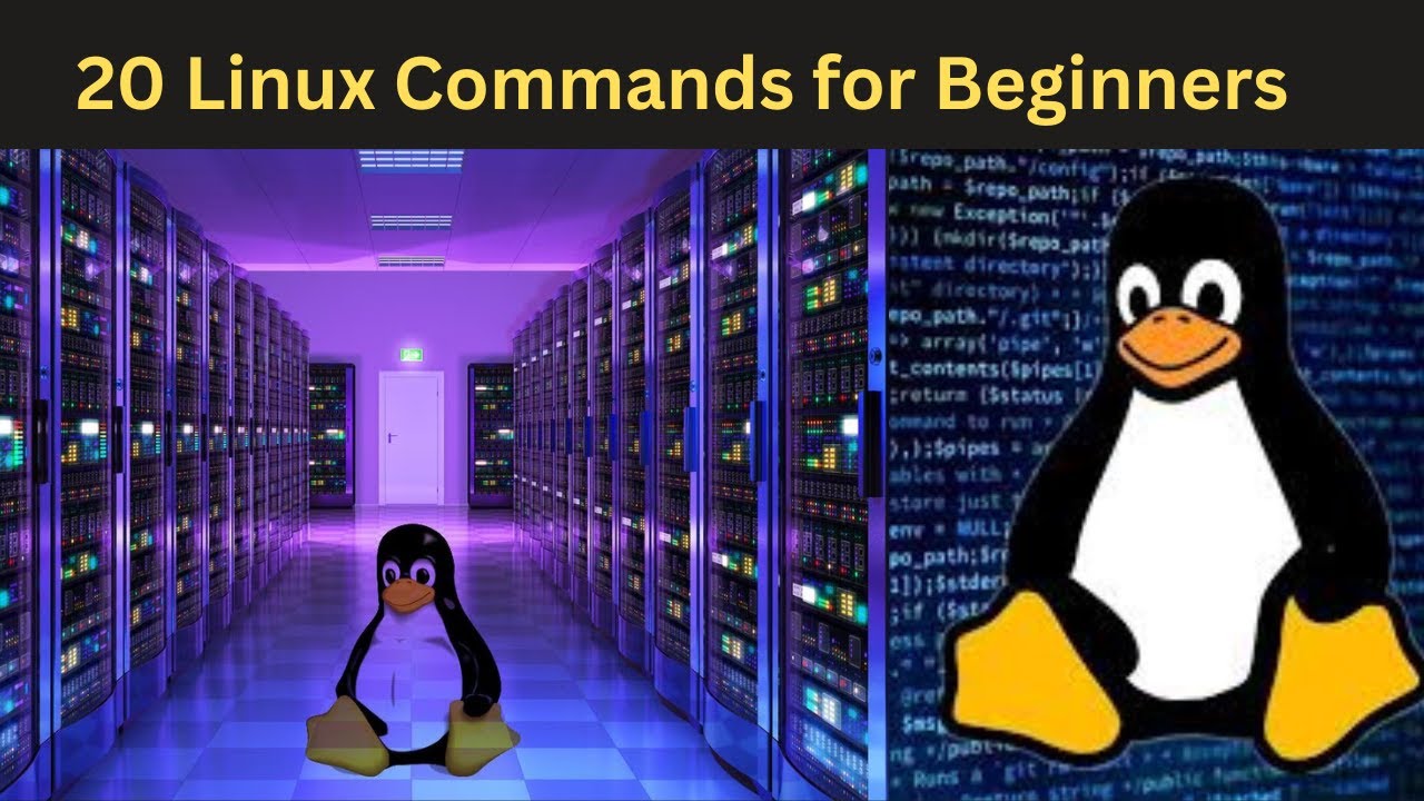 20 Most Important Linux Commands for Beginners | Linux Basic Commands ...