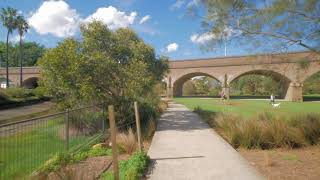 Sydney Video Walk 4K - Glebe Foreshore Park Spring 2017