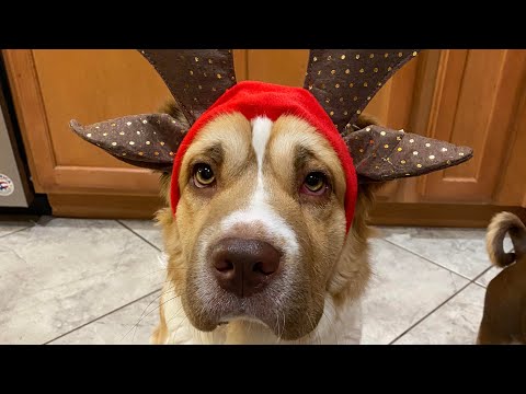 Sub to Pex8 on Ty