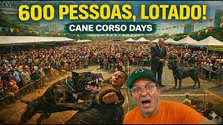 REUNIMOS OS CANE CORSOS MAIS COMPLETOS DO BRASIL | CANE CORSO DAYS DOG FESTIVAL