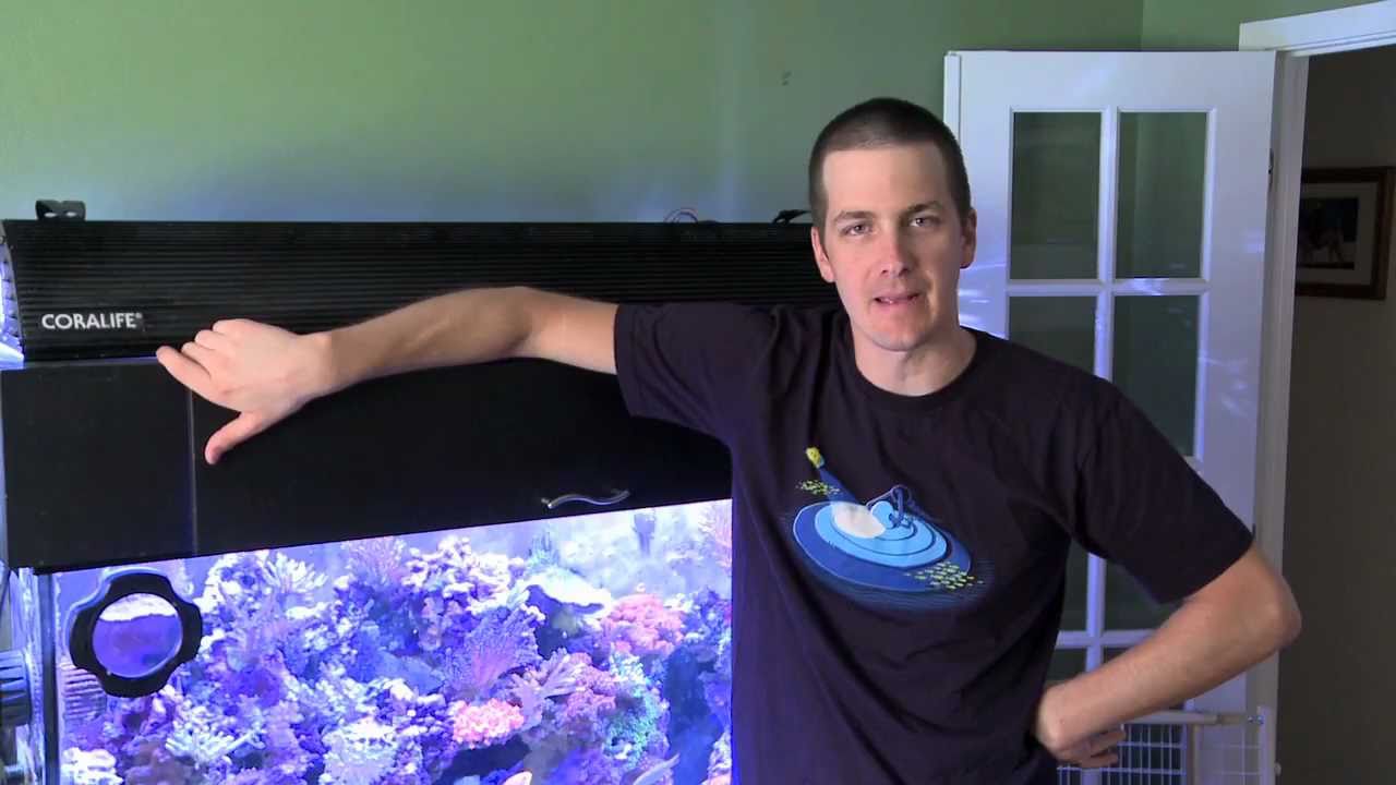 how to videos on tiktok Mr. Saltwater Tank TV Friday AM Quick Tip #35: Soak it Up!