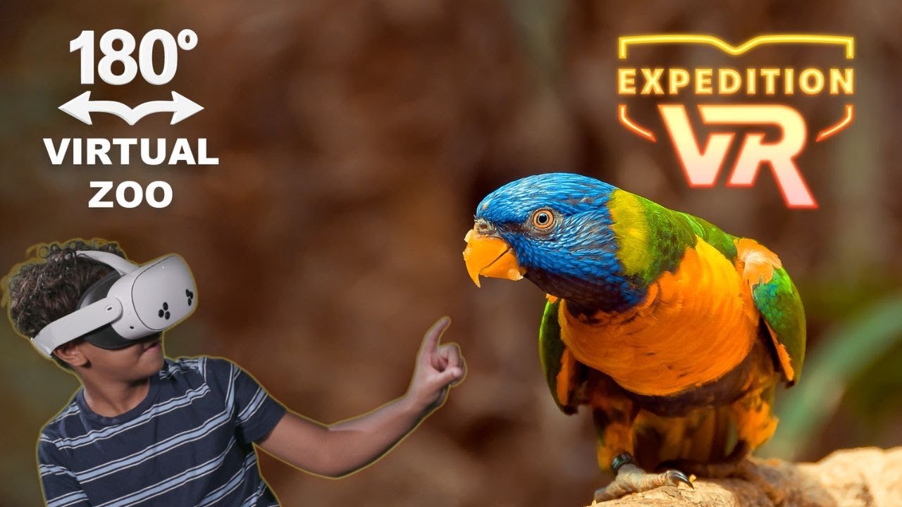 Up Close with the Wild 180° | Expedition VR