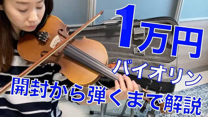 Ester 初心者用バイオリン(4/4) えぐい