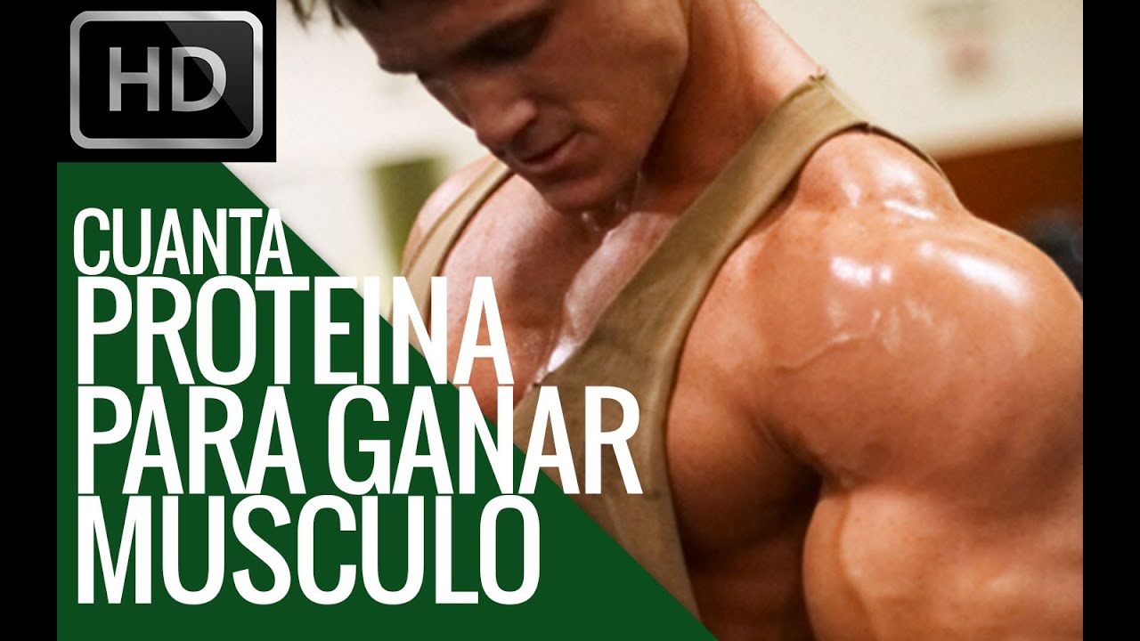 Cuantos gramos de proteina necesito segun mi peso