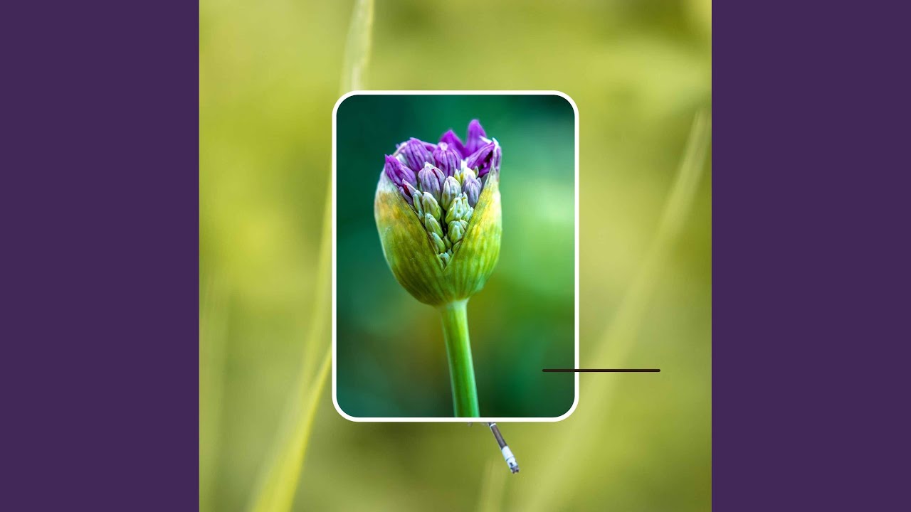 Hypnotic Backdrops for Relaxing Energy