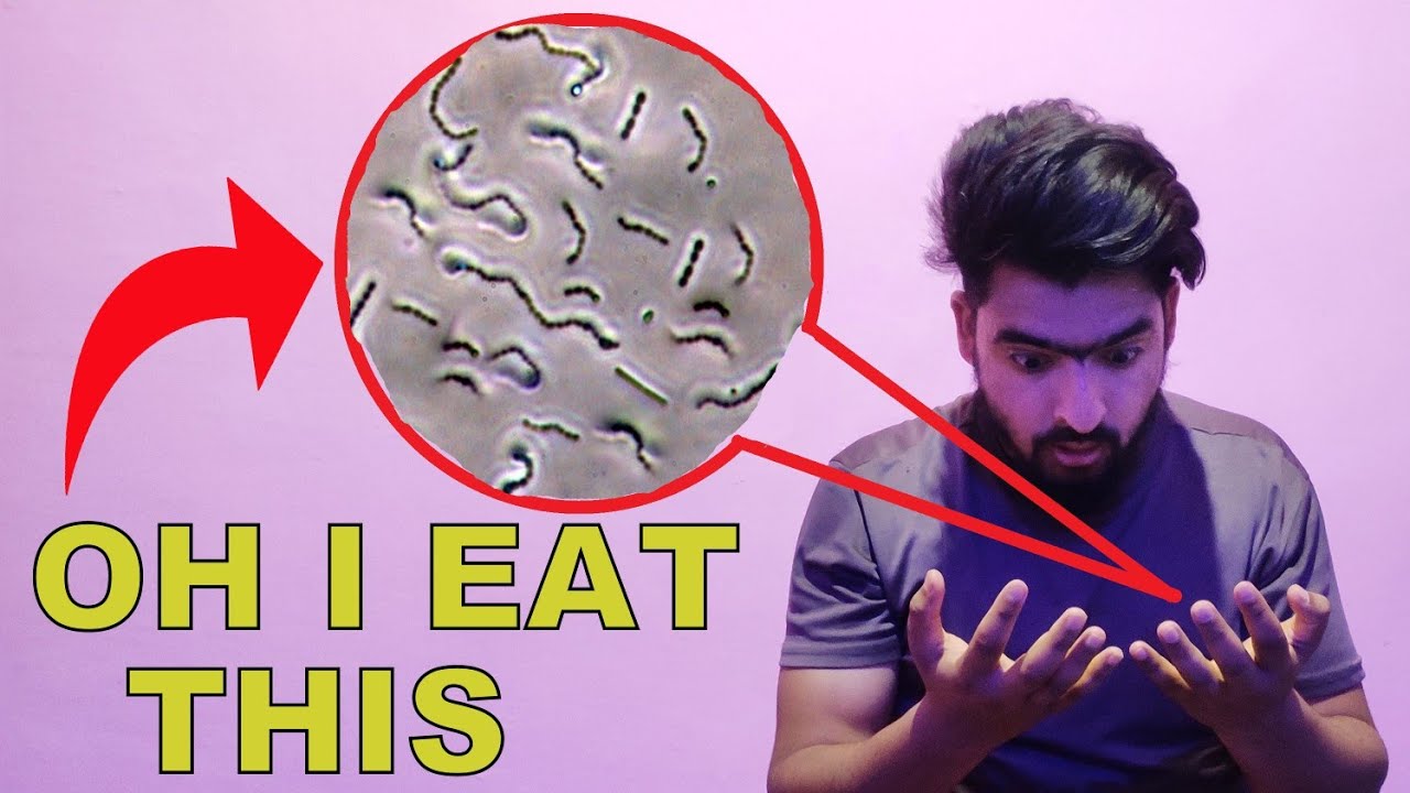 I SAW BACTERIA ON MY HANDS WITHOUT MICROSCOPE - YouTube