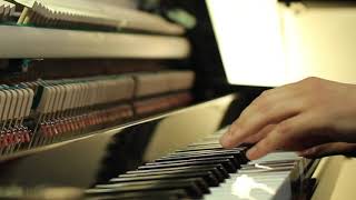 Video: Harmony from Interlude, Vol. 1 (Harmony) by Karen LeFrak