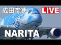 成田空港ライブ配信 (11月15日PM) - Narita Airport Live on November 15, 2020