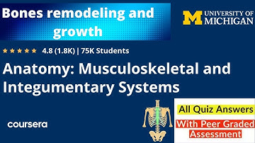 Coursera Anatomy specialization || Bone remodeling and growth quiz answers