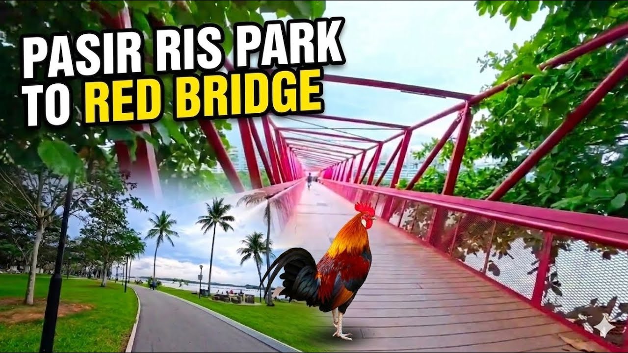 [ Singapore ] Hidden Nature Walk: Pasir Ris Park to Red Bridge - YouTube