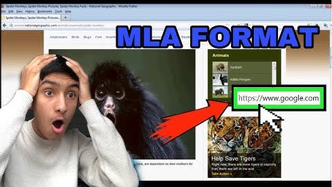 How To Cite A Google Image? | MLA & APA