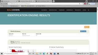 Identificación de hongos sometiendo secuencias ITS en BOLD Systems screenshot 4