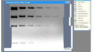 Quantity One Software Tutorial by Bio-Rad Laboratories screenshot 3
