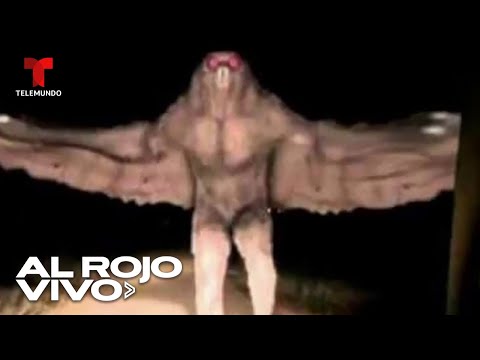 Habitantes aseguran que un extraño ser, los acecha, sería un hombre pájaro