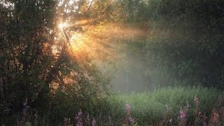 flatsound - we haven’t spoken in years but knowing you felt like a dream + a dream (slowed + reverb)
