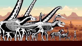 Animals Skeleton Size Comparison: Living and Extinct