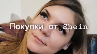 :   Shein