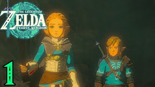 Zelda: Tears of the Kingdom [1] - First 3 Hours