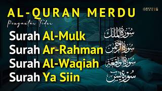 Murotal untuk pengantar tidur Surah Al Mulk, Ar Rahman, Al Waqiah, Yasin | Alaa Aqel