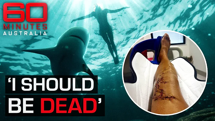 Heroic strangers save the life of a shark attack victim | 60 Minutes Australia