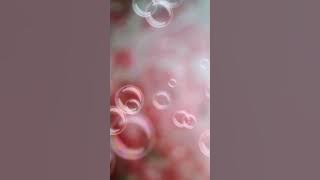 Menanti kasih dihujung hari