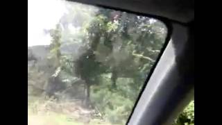 Ordu korgan ağılsırtı