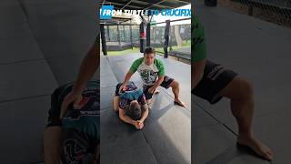 Attack The Crucifix From Turtle