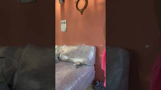 Hi Guys Aaj Aur Ek Naya Video Aaya Hai Aapke Liye Laya Hai Please Like Share Comment Subscribe