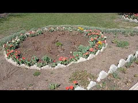 Благовещение в Свято-Вознесенском храме с.Камышное