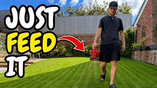 Before You Renovate Your Lawn, Try This ONE Thing