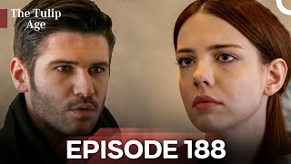 The Tulip Age Episode 188