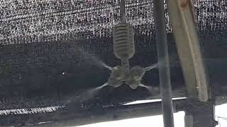 MS8003 4WAY Mist Sprayer