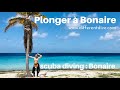 Bonaire : le paradis de la plongée