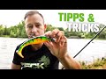 Spinnfischen auf Wels | TIPPS und TRICKS